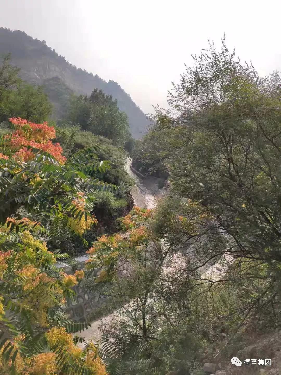 山西省采煤沉陷区综合治理西山煤电（集团）有限责任公司官地煤矿地质环境治理试点项目施工（二标段）