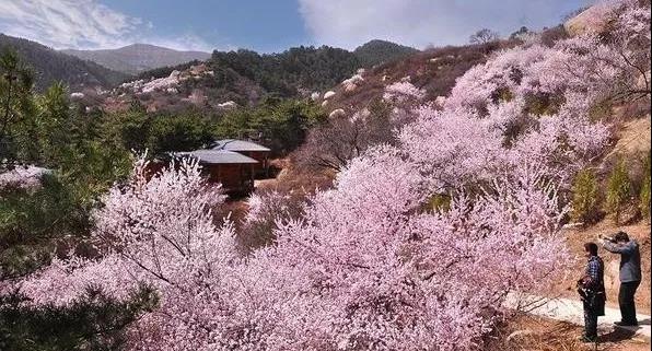 山西省采煤沉陷区综合治理西山煤电（集团）有限责任公司杜儿坪煤矿桃花沟地质环境治理